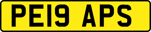 PE19APS