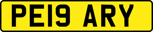 PE19ARY
