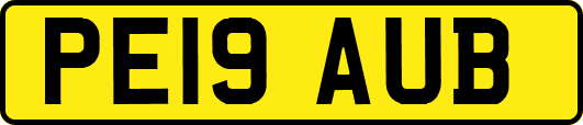 PE19AUB