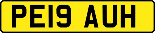PE19AUH