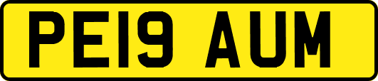 PE19AUM