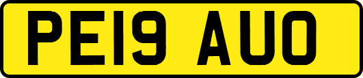 PE19AUO