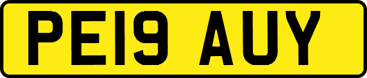 PE19AUY