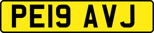 PE19AVJ