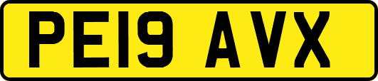 PE19AVX