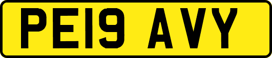 PE19AVY