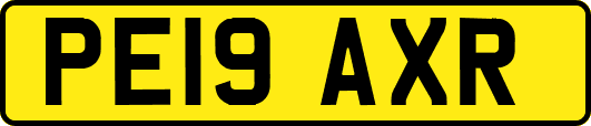 PE19AXR