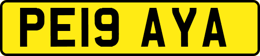 PE19AYA