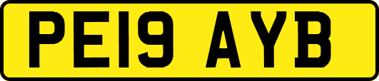 PE19AYB