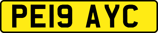 PE19AYC