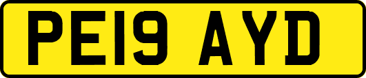 PE19AYD