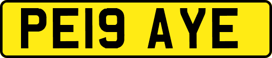 PE19AYE