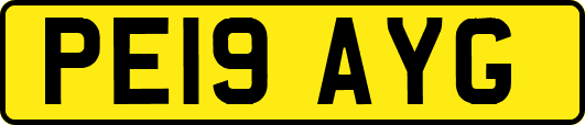 PE19AYG