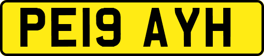 PE19AYH