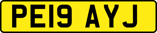PE19AYJ