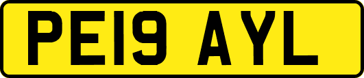 PE19AYL