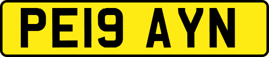 PE19AYN