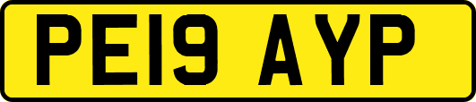 PE19AYP
