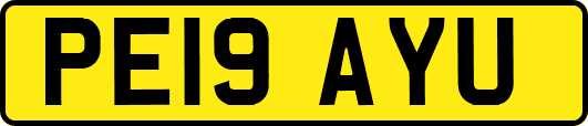 PE19AYU