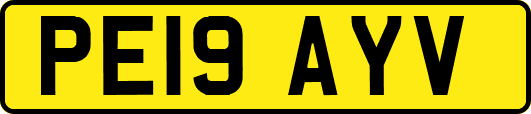 PE19AYV