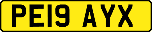 PE19AYX