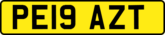 PE19AZT