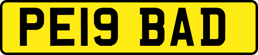 PE19BAD