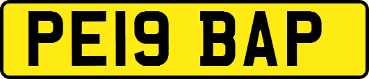 PE19BAP
