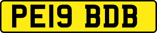 PE19BDB