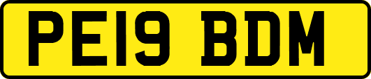 PE19BDM