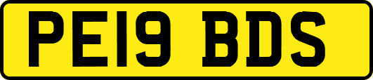 PE19BDS