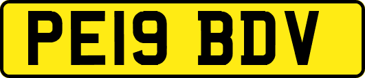 PE19BDV