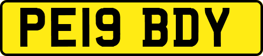 PE19BDY