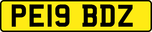 PE19BDZ