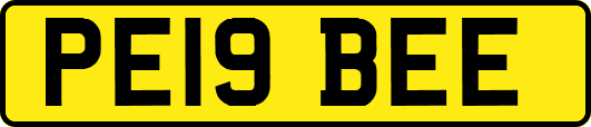 PE19BEE