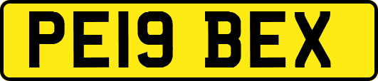 PE19BEX