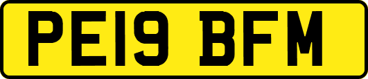 PE19BFM