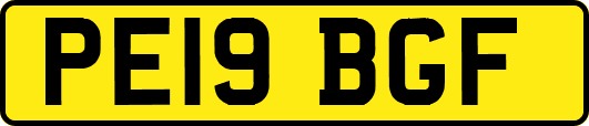 PE19BGF