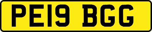 PE19BGG