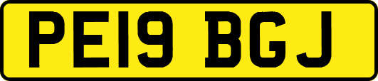 PE19BGJ