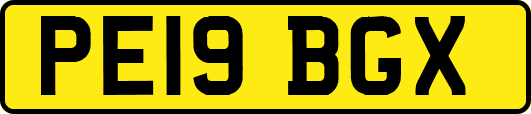 PE19BGX