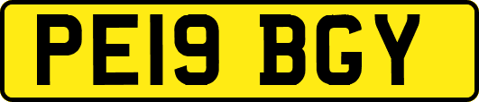 PE19BGY