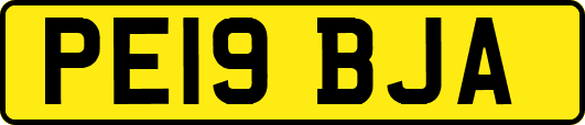 PE19BJA