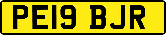 PE19BJR