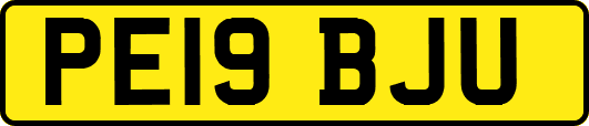 PE19BJU