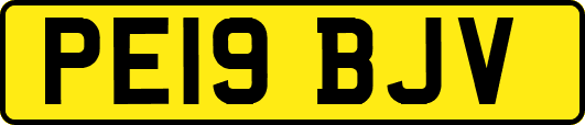 PE19BJV