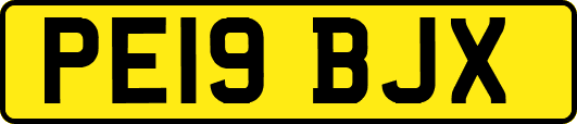 PE19BJX