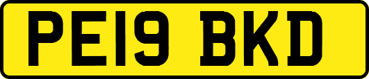 PE19BKD
