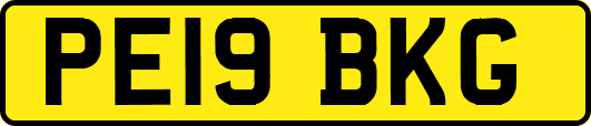 PE19BKG