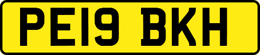 PE19BKH